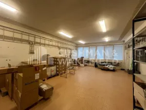 Prodej výrobních prostor, Hradec Králové, Vážní, 3866 m2
