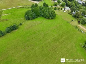 Prodej pozemku pro bydlení, Pulečný, 4466 m2
