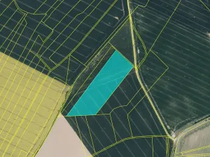 Prodej pole, Boharyně, 28586 m2