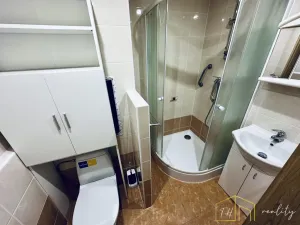 Prodej bytu 1+1, Bílina - Pražské Předměstí, Alšova, 27 m2