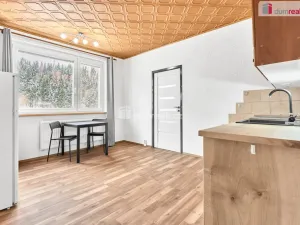 Prodej bytu 1+1, Kraslice, Hradební, 36 m2