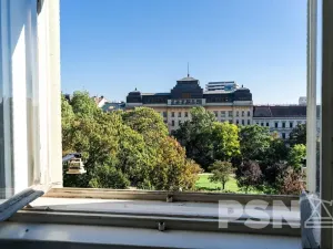 Pronájem kanceláře, Brno, Dvořákova, 50 m2