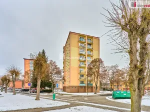 Prodej bytu 2+1, Nová Role, Školní, 45 m2