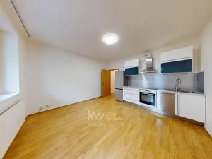 Pronájem bytu 1+kk, Praha - Kyje, Pelušková, 27 m2