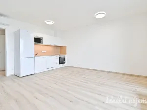 Pronájem bytu 1+kk, Brno - Horní Heršpice, Jižní, 33 m2