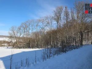 Prodej pozemku pro bydlení, Jiřetín pod Jedlovou, 5471 m2