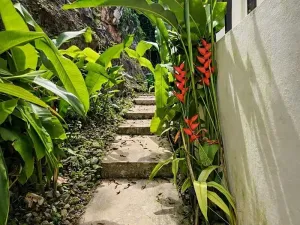 Prodej bytu 1+kk, El Valle, Dominikánská republika, 35 m2