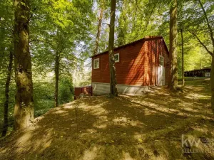 Prodej chaty, Plešnice, 29 m2