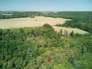 Prodej chaty, Plešnice, 29 m2