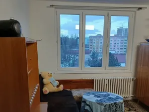 Pronájem bytu 1+kk, Sokolov, Jelínkova, 20 m2