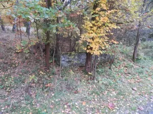 Dražba pole, Jiříkov, 2813 m2