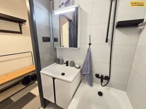 Pronájem bytu 2+1, Písek, Dvořákova, 53 m2