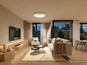 Prodej bytu 1+1, Praha - Vršovice, Litevská, 45 m2