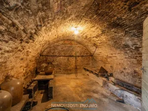 Prodej rodinného domu, Pavlov, Družstevní, 284 m2