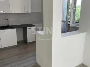 Pronájem bytu 2+kk, Ostrava - Slezská Ostrava, Bohumínská, 49 m2