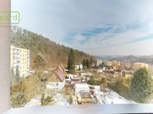 Prodej bytu 3+1, Děčín - Děčín IX-Bynov, Vítova, 76 m2