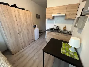 Pronájem bytu 1+kk, Kladno, Hřebečská, 20 m2