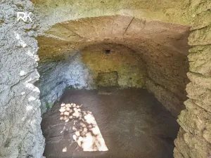 Prodej zahrady, Nové Dvory, 2555 m2