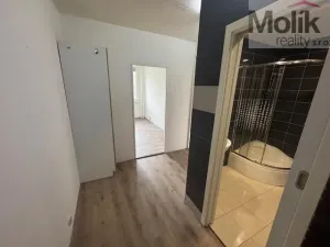 Pronájem bytu 2+kk, Most, Jana Kubelíka, 40 m2