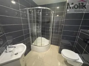 Pronájem bytu 2+kk, Most, Jana Kubelíka, 40 m2