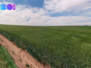 Prodej pole, Kojátky, 27376 m2