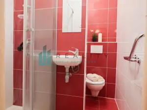 Prodej bytu 1+1, Hodonín, Velkomoravská, 31 m2