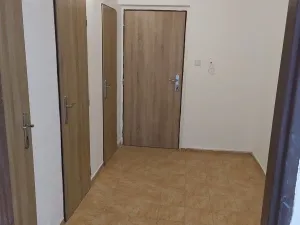 Prodej bytu 2+1, Chodov, Budovatelů, 55 m2