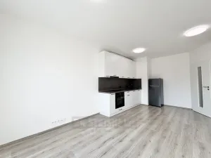 Pronájem bytu 1+kk, České Budějovice - České Budějovice 2, Na Zlaté stoce, 28 m2