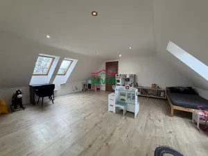 Prodej rodinného domu, Hrušovany, 208 m2