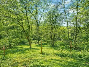 Prodej chaty, Zlín - Kudlov, 28 m2