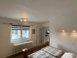 Prodej rodinného domu, Včelná, Hraniční, 150 m2