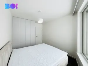 Pronájem bytu 2+kk, Ostrava, F. X. Riepla, 54 m2