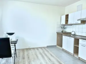 Pronájem bytu 1+1, Roudnice nad Labem, Neklanova, 38 m2