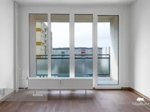 Pronájem bytu 2+kk, Třemošná, Sídliště, 62 m2