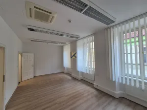 Pronájem kanceláře, Praha, Myslíkova, 117 m2