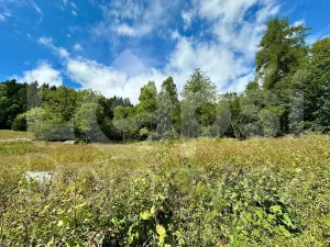 Prodej pozemku pro bydlení, Lipová-lázně, 1379 m2