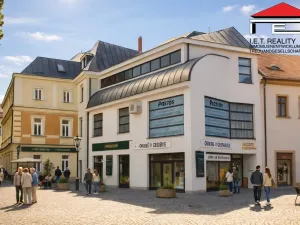 Pronájem obchodního prostoru, Brno, Josefská, 117 m2