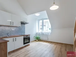 Pronájem bytu 1+kk, Šternberk, Olomoucká, 32 m2