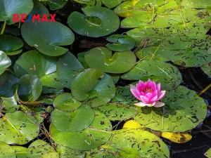 Prodej ubytování, Mařenice, 750 m2