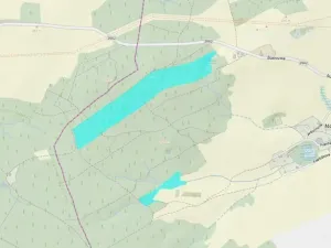 Prodej lesa, Jiříkov, 126160 m2