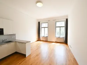 Pronájem bytu 1+kk, Praha - Vinohrady, Vinohradská, 41 m2