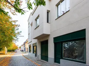 Prodej bytu 5+kk, Praha - Střešovice, Pod bateriemi, 173 m2