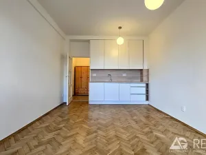 Pronájem bytu 1+kk, Praha - Bubeneč, Terronská, 25 m2