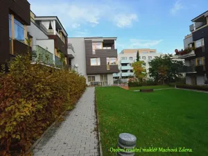 Pronájem bytu 2+kk, Praha - Žižkov, Za Vackovem, 64 m2