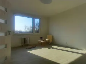 Pronájem bytu 1+1, Hradec Králové, třída Edvarda Beneše, 47 m2