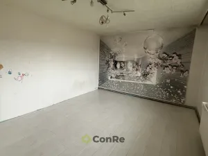 Prodej bytu 4+1, Doudleby nad Orlicí, U Parku, 94 m2