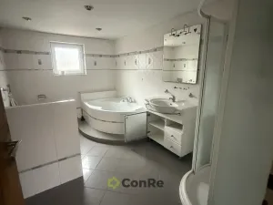 Prodej bytu 4+1, Doudleby nad Orlicí, U Parku, 94 m2