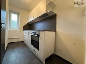 Pronájem bytu 3+1, Meziboří, Májová, 61 m2