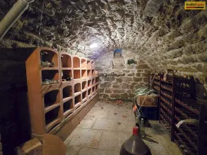 Prodej ubytování, Český Rudolec, 560 m2