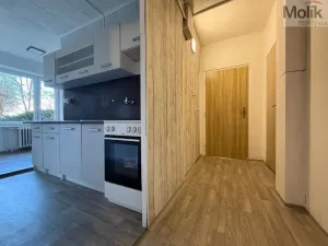 Pronájem bytu 3+1, Bílina - Teplické Předměstí, Sídliště Za Chlumem, 71 m2